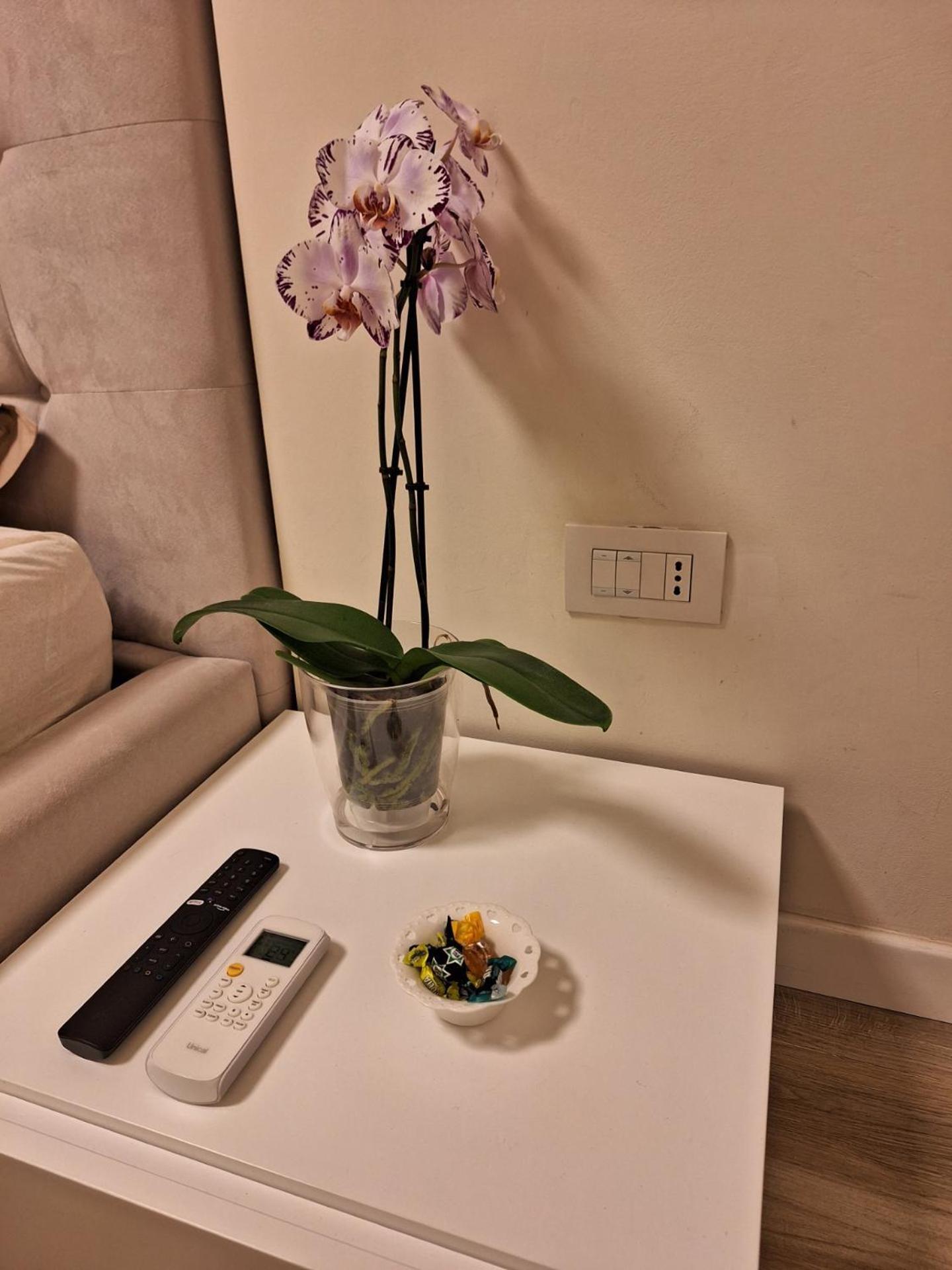 Il Colibri Apartman Alghero Kültér fotó